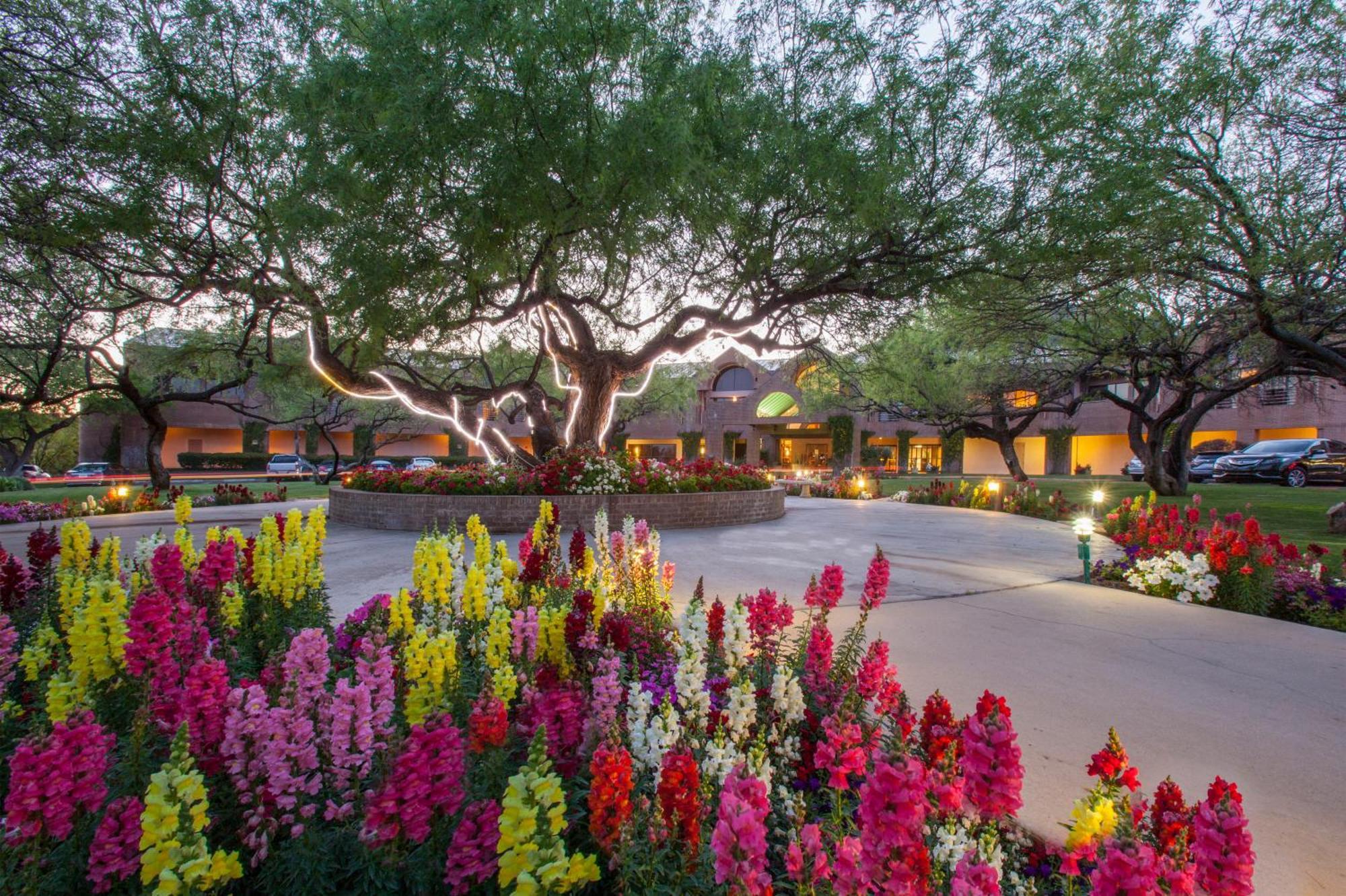 טוסון The Lodge At Ventana Canyon מראה חיצוני תמונה
