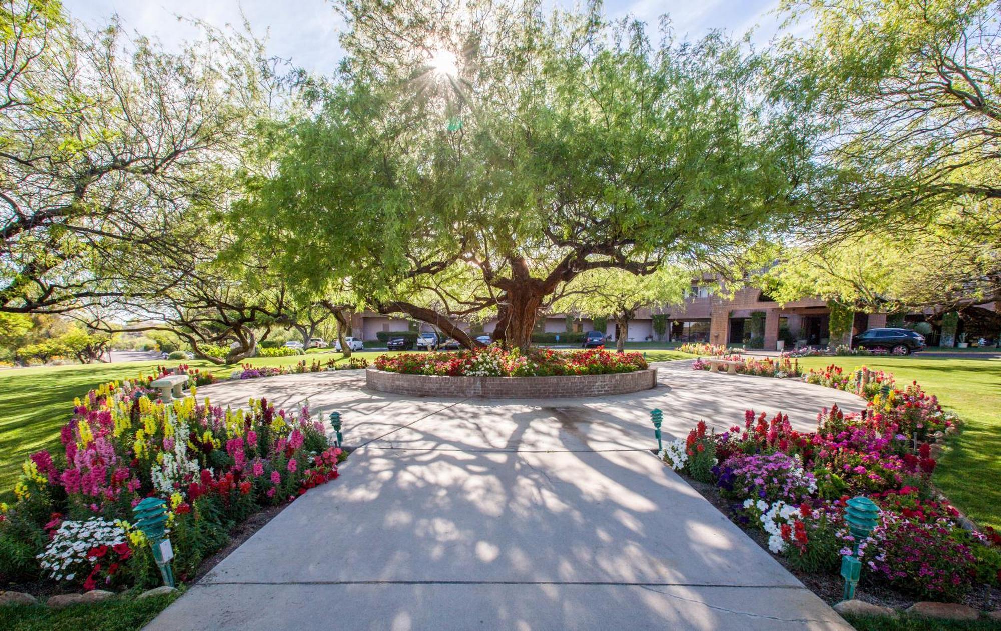 טוסון The Lodge At Ventana Canyon מראה חיצוני תמונה